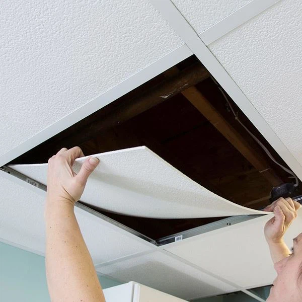 Mattonelle Del Soffitto Del PVC Per La Casa